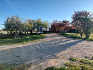 View of driveway lined with fruit trees