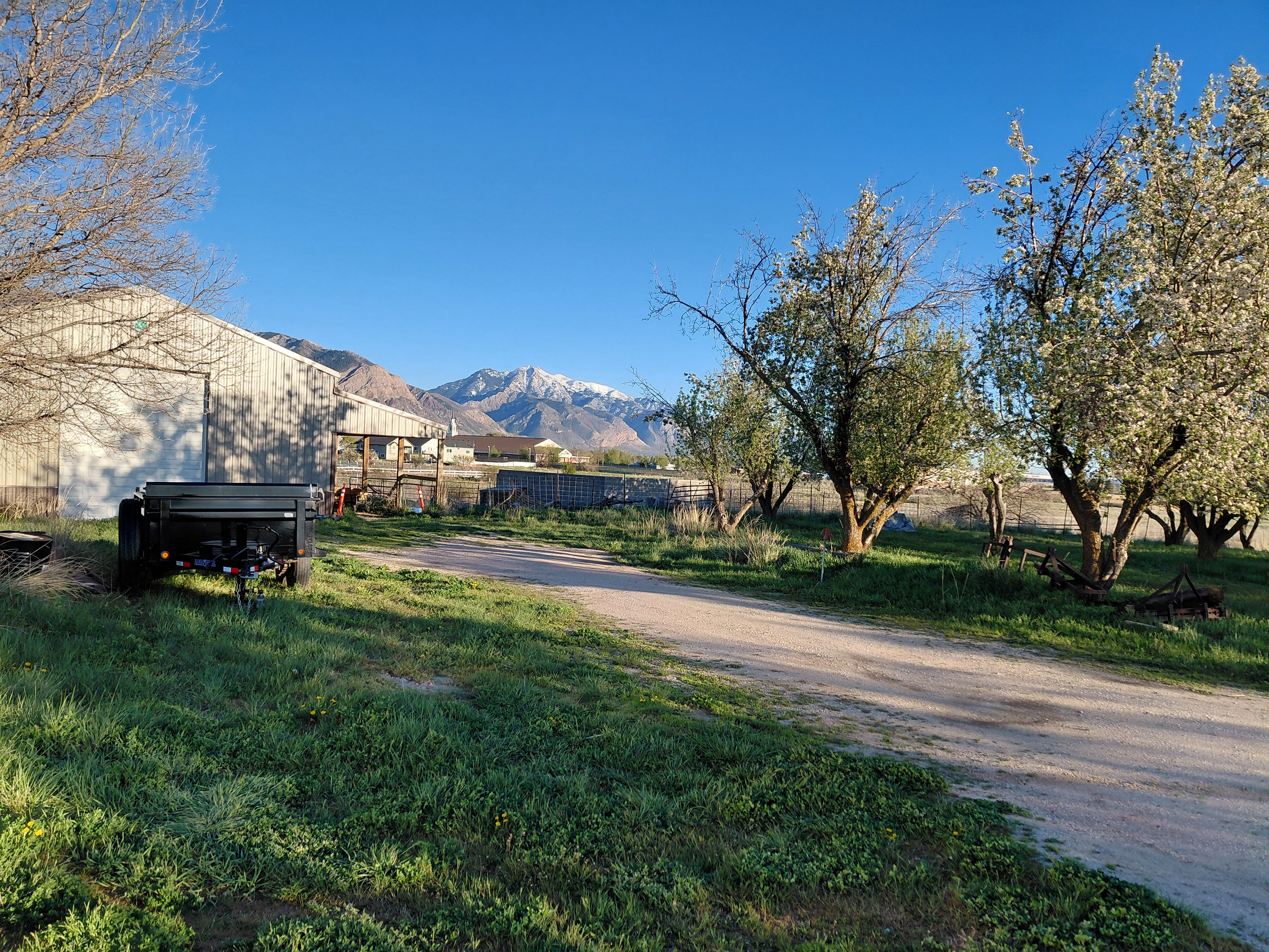 View of Barn