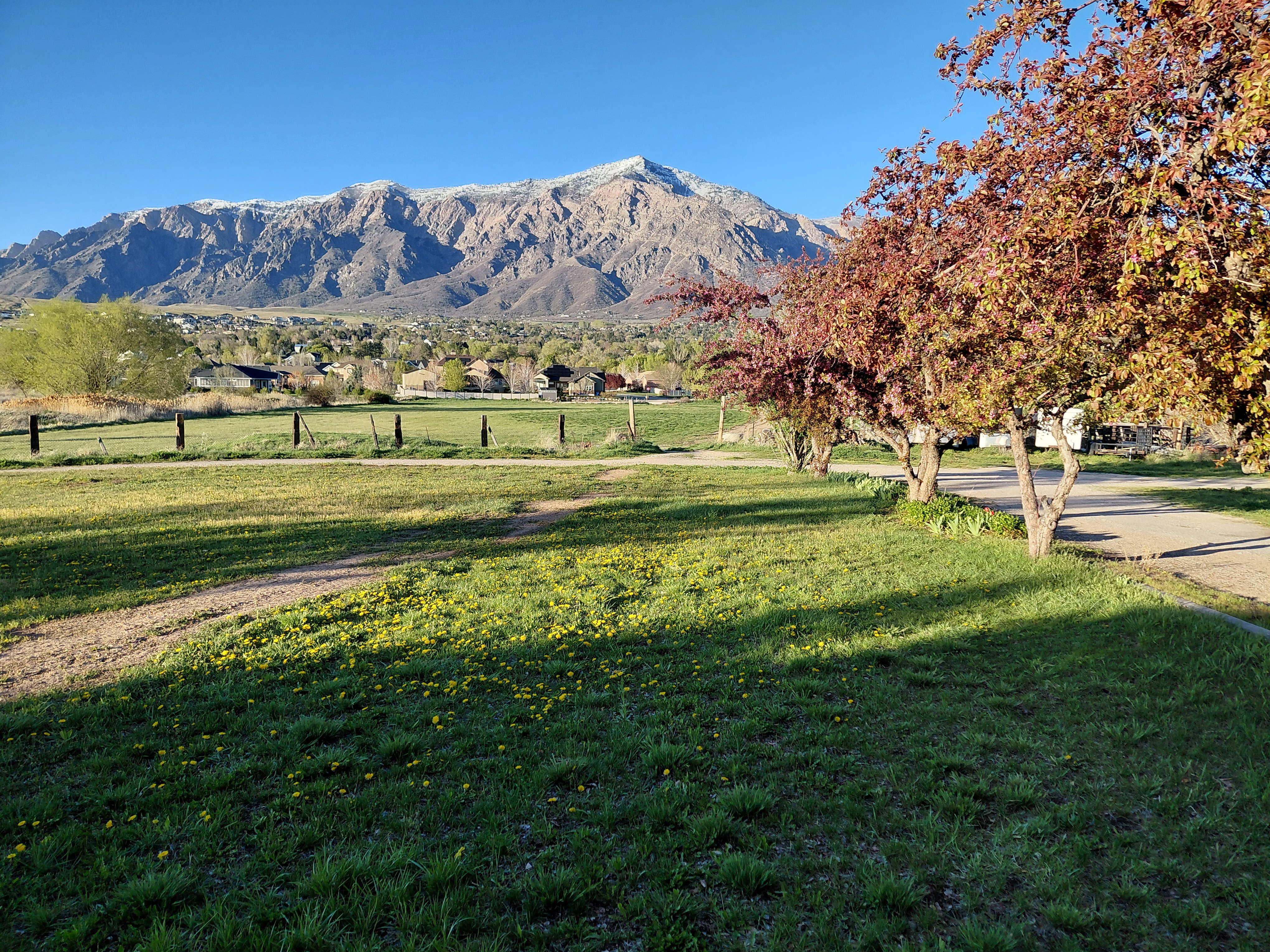 Front Yard facing North to 3.55 acres that abuts to Casey Lane