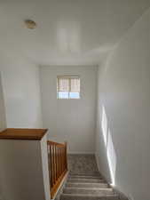 Staircase with carpet flooring