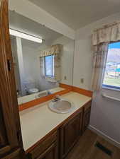 Bathroom featuring vanity and dark wood-style flooring