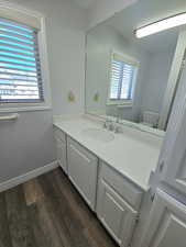 Primary Bathroom featuring dark wood-style floors and vanity