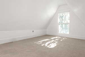 Additional living space with baseboards and carpet floors