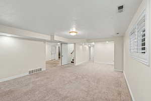 Finished basement featuring a textured ceiling and light colored carpet