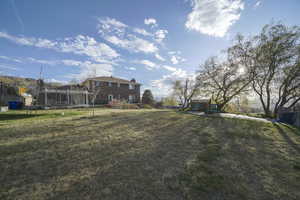 Fenced backyard with a trampoline and an outbuilding