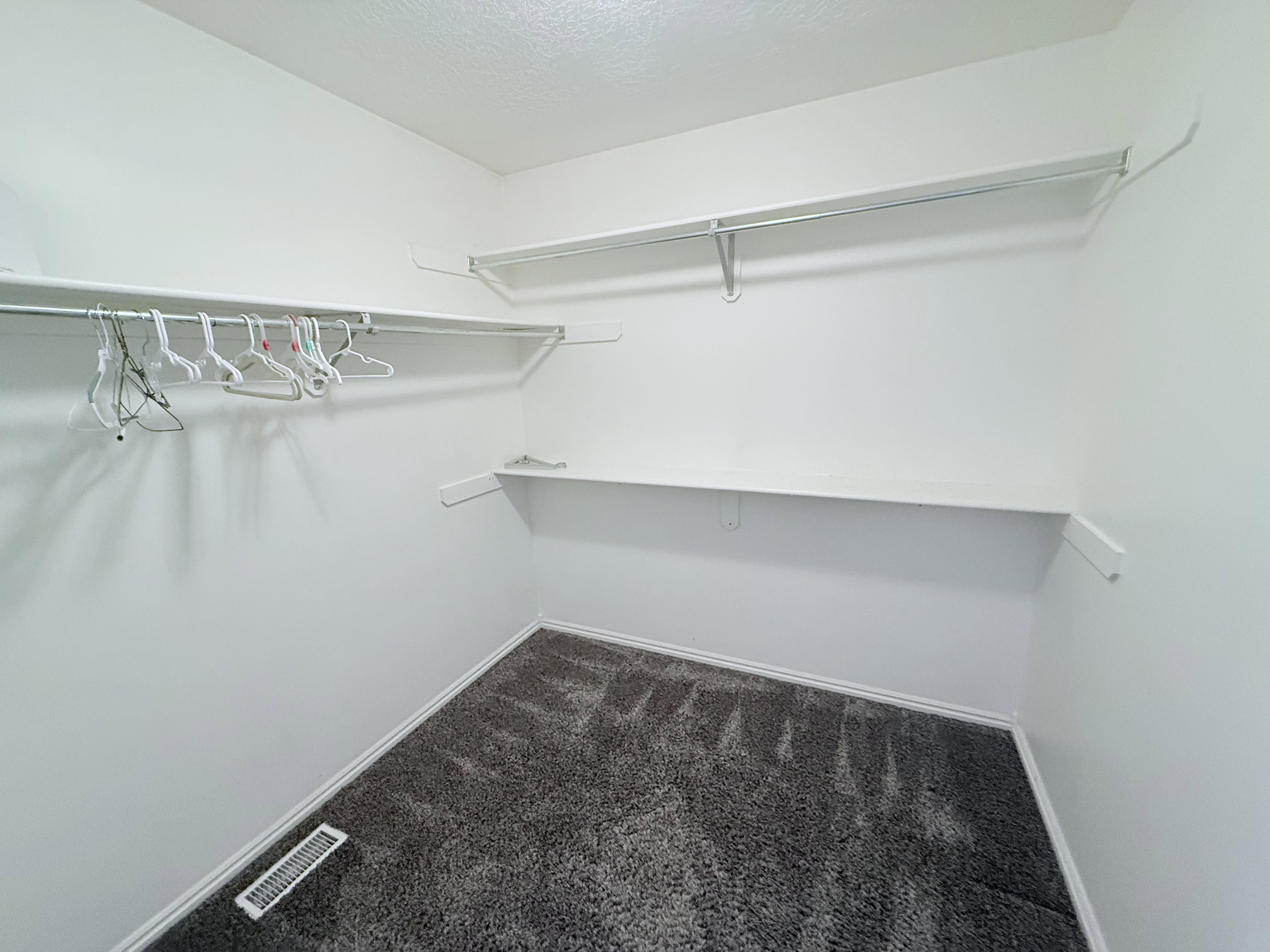 Walk-in closet featuring white walls, deep gray carpeting, and multiple built-in shelving units