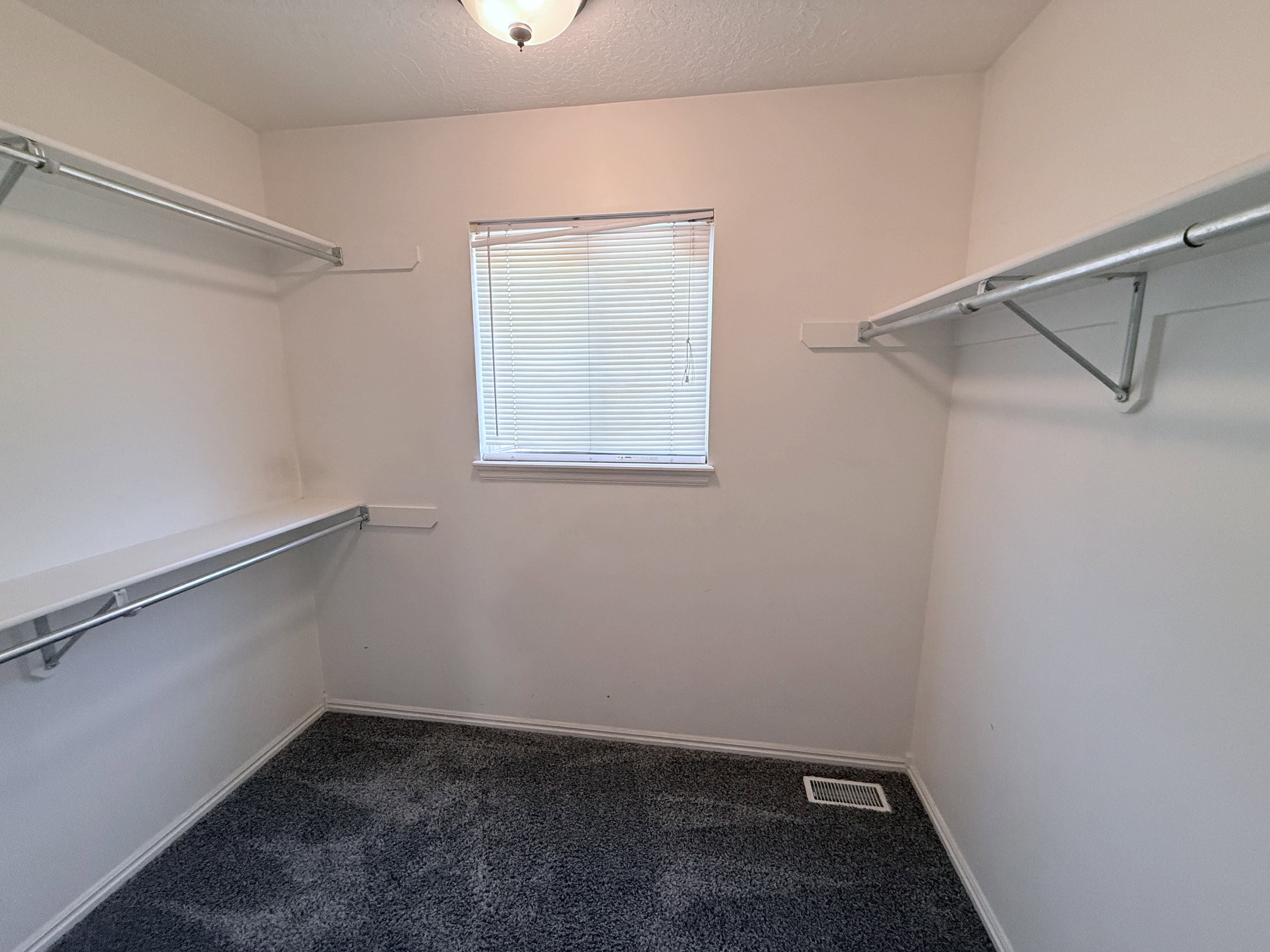Walk-in closet featuring white walls, dark gray carpet, a window with blinds, and white shelving with metal hanging rods