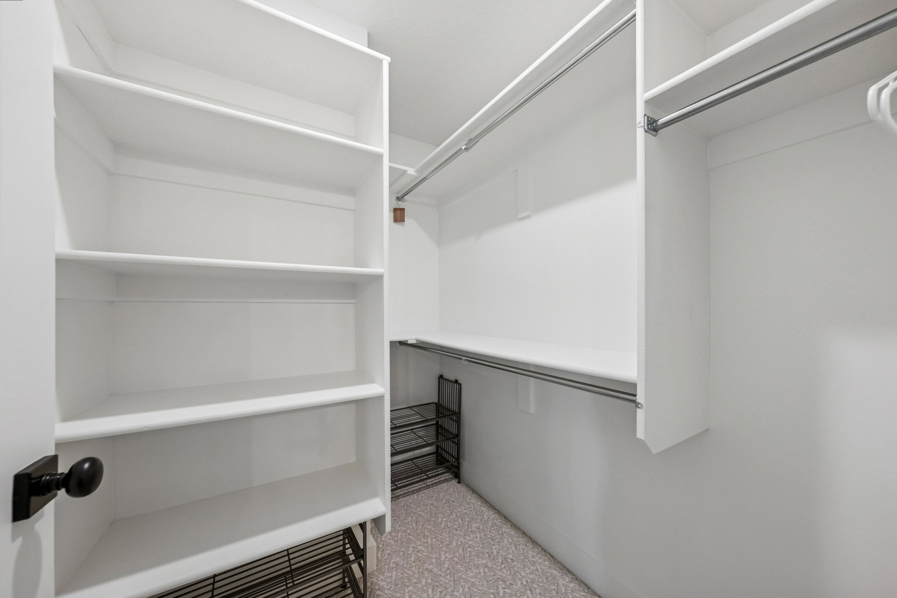 Walk in closet with light colored carpet