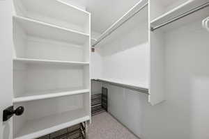 Walk in closet with light colored carpet