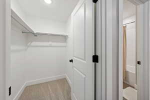 Walk in closet featuring light colored carpet