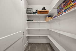 Additional Storage In Basement