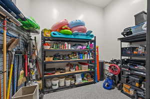 Special Feature, Storage Room In Garage