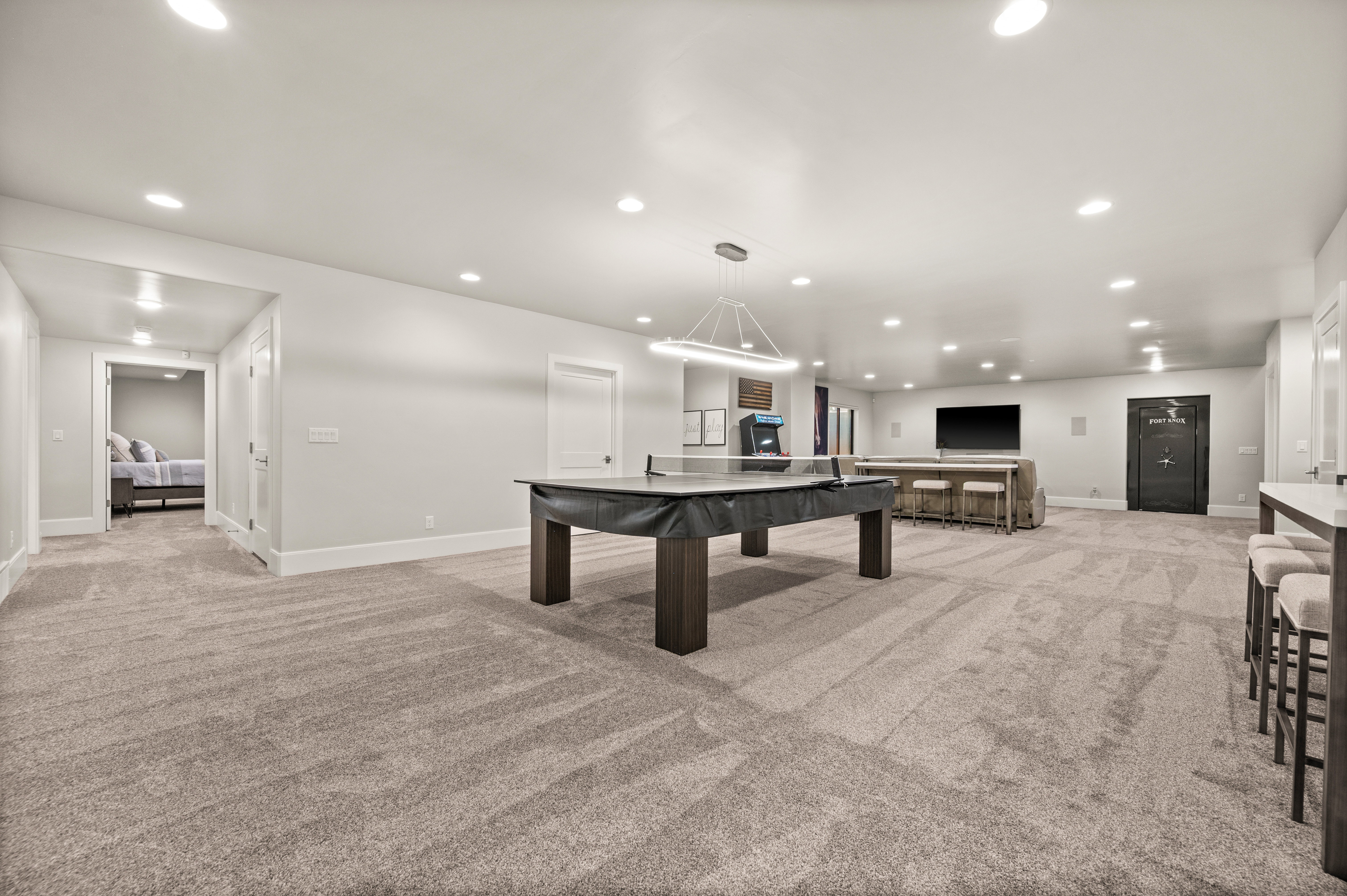 Basement Living Room