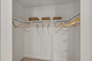 Walk in closet with carpet flooring