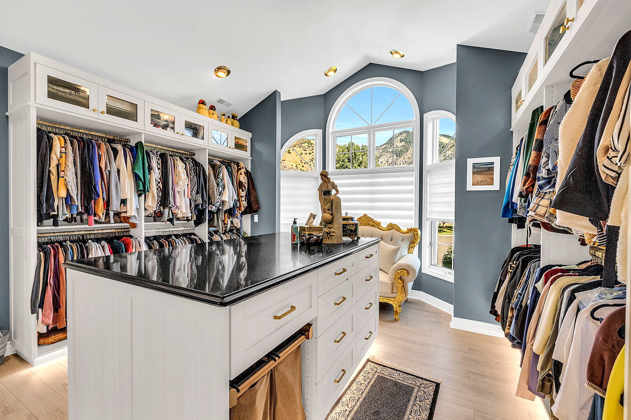 Walk in closet featuring light wood-style flooring and lofted ceiling