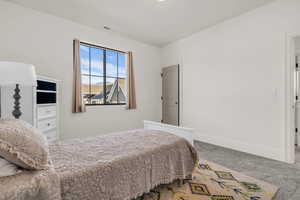 Bedroom with carpet floors and baseboards