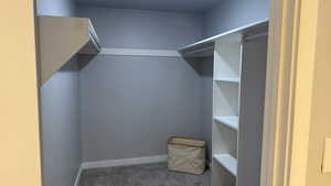 Walk in closet with light carpet