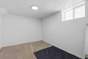 Spare room featuring light colored carpet and a textured ceiling