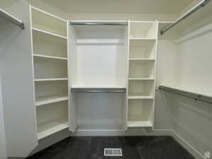 View of walk in closet