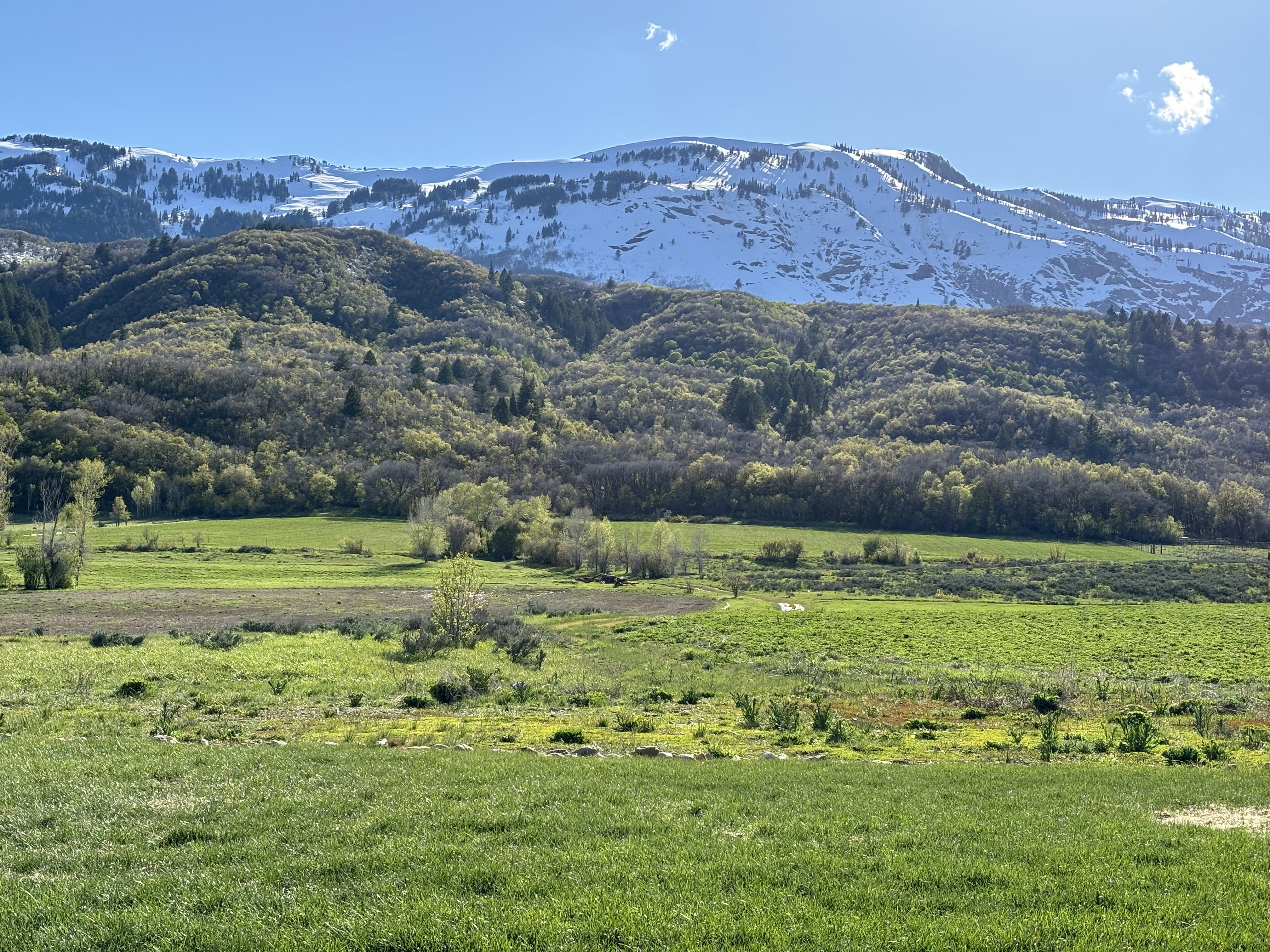 View of mountain backdrop featuring rural landscape