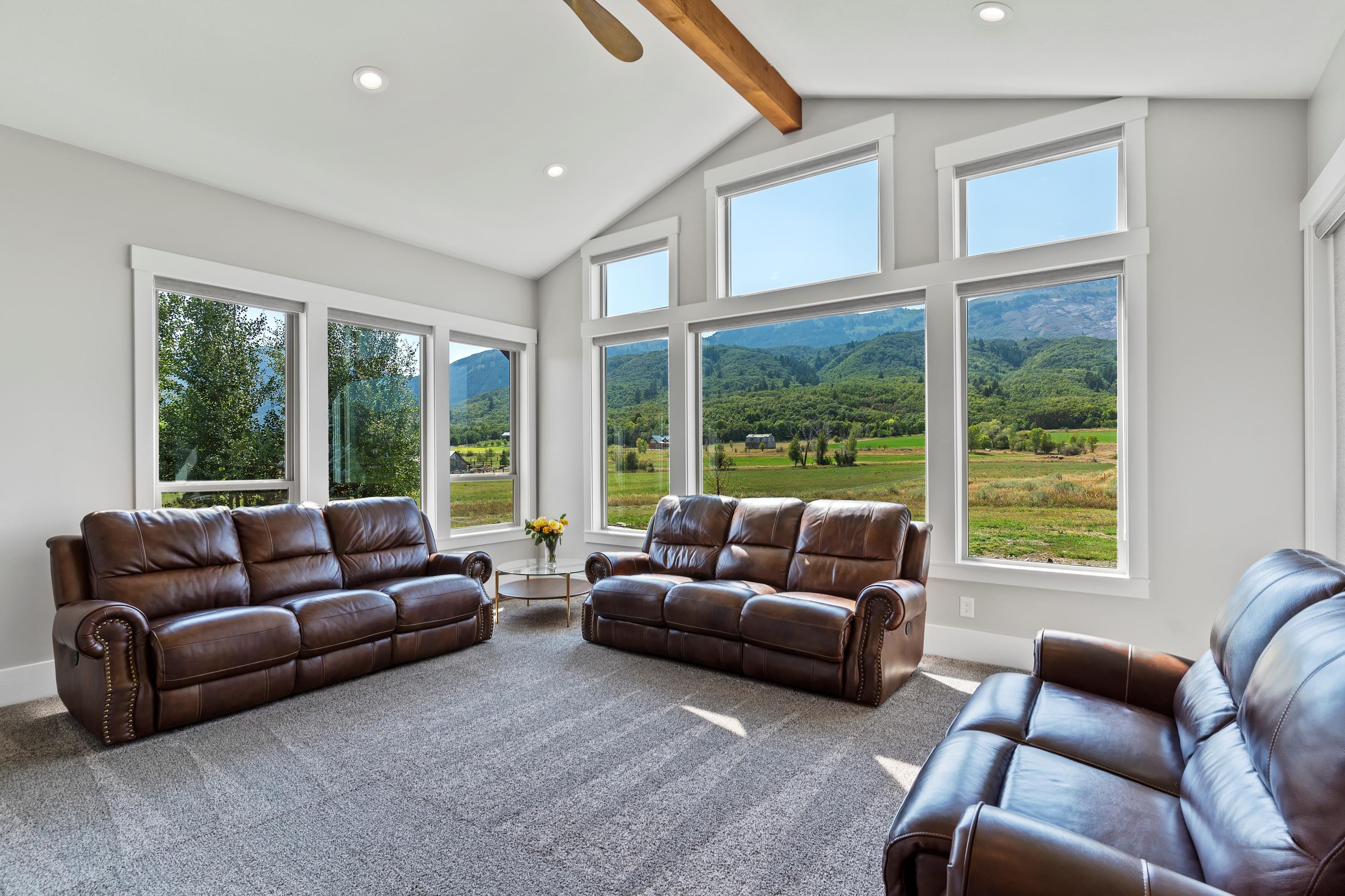 TV Family room area with a ceiling fan, carpet flooring, plenty of natural light with views, and recessed lighting