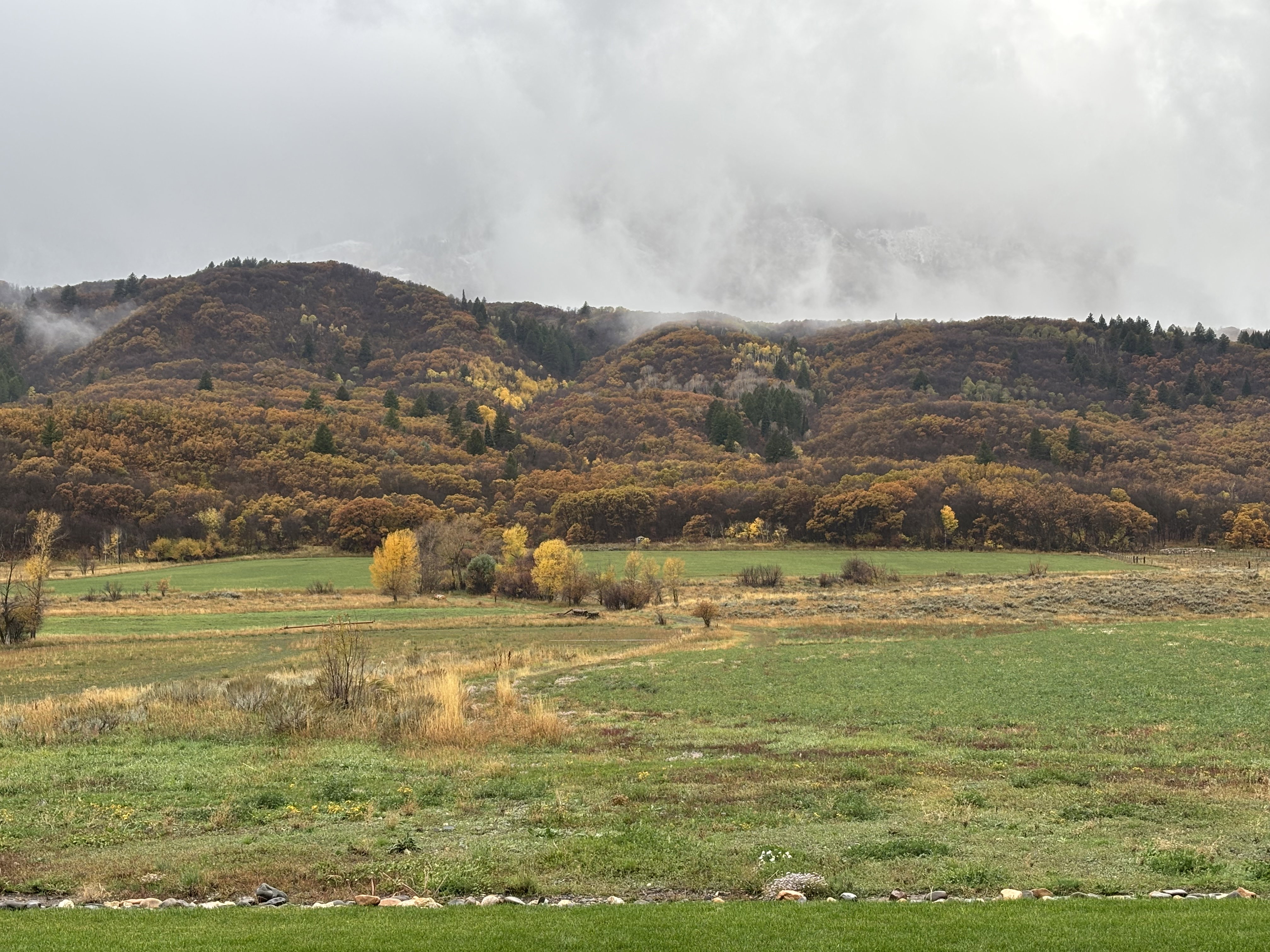 View of mountain background with rural Fall landscape