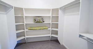 Primary walk in closet with light colored carpet