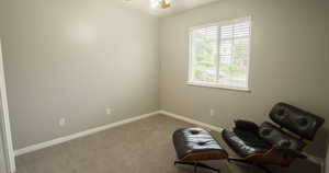 Living area featuring carpet flooring and ceiling fan