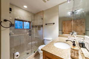 Full bathroom featuring vanity and a shower stall