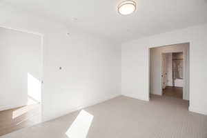Unfurnished bedroom featuring light carpet