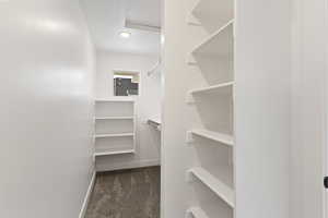 Walk in closet featuring dark carpet
