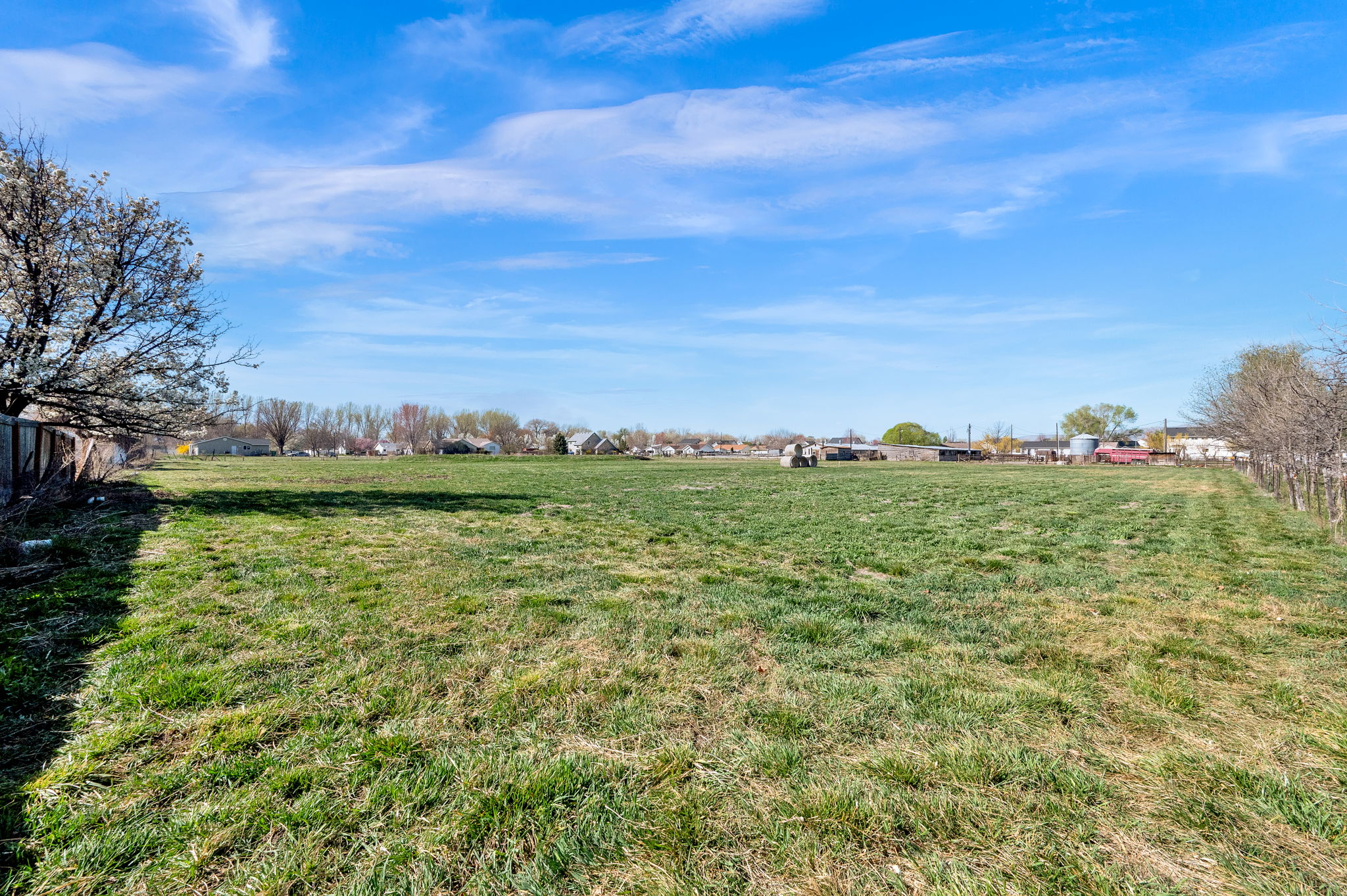 View of grassy yard