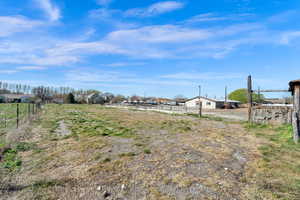View of yard featuring a residential view