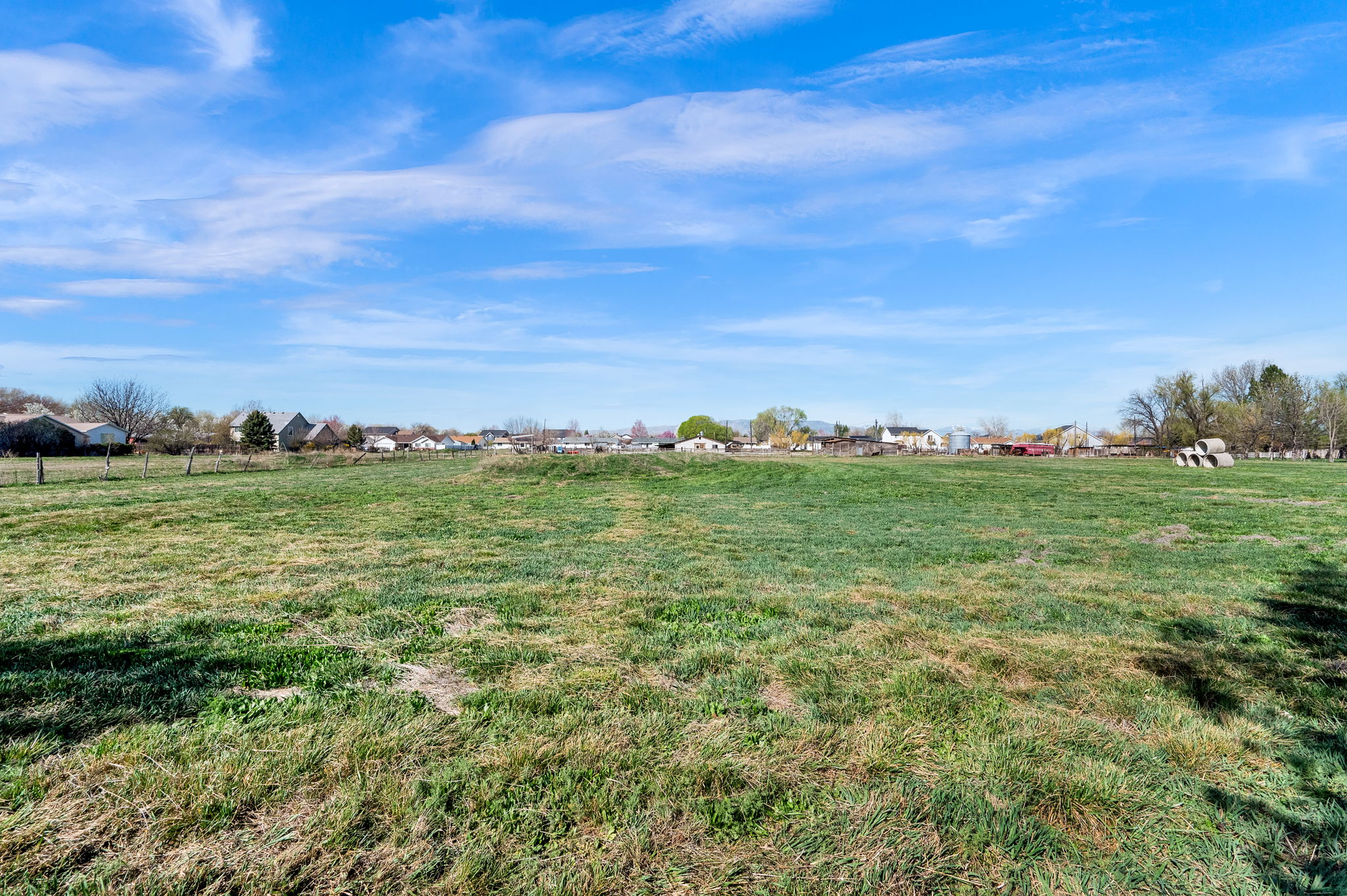 View of grassy yard