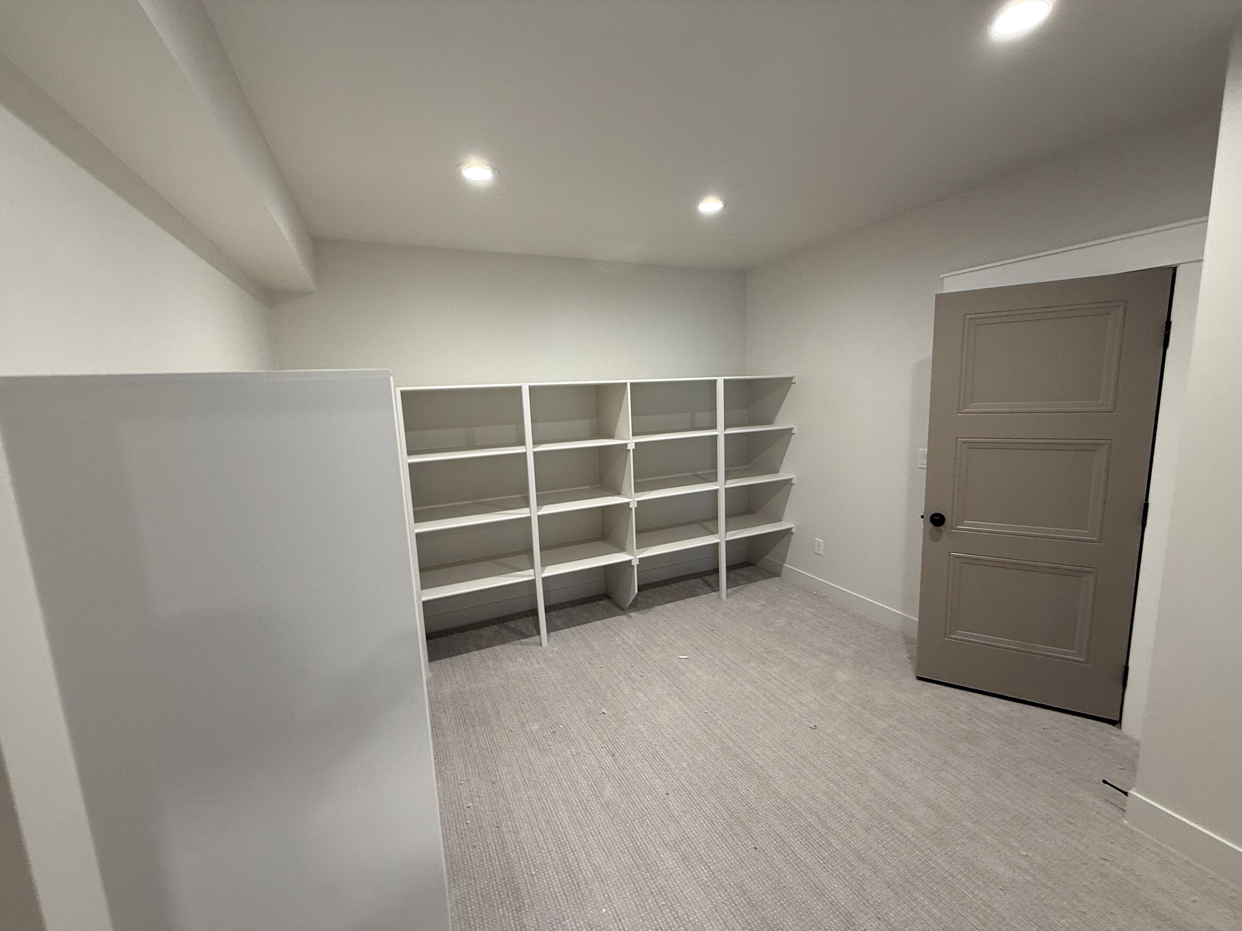 Built-in shelving storage with recessed ceiling lighting, light gray carpet flooring, and a neutral-toned paneled door with matte black hardware