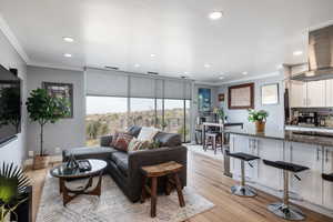 Living area featuring ornamental molding, light wood-type flooring, and recessed lighting