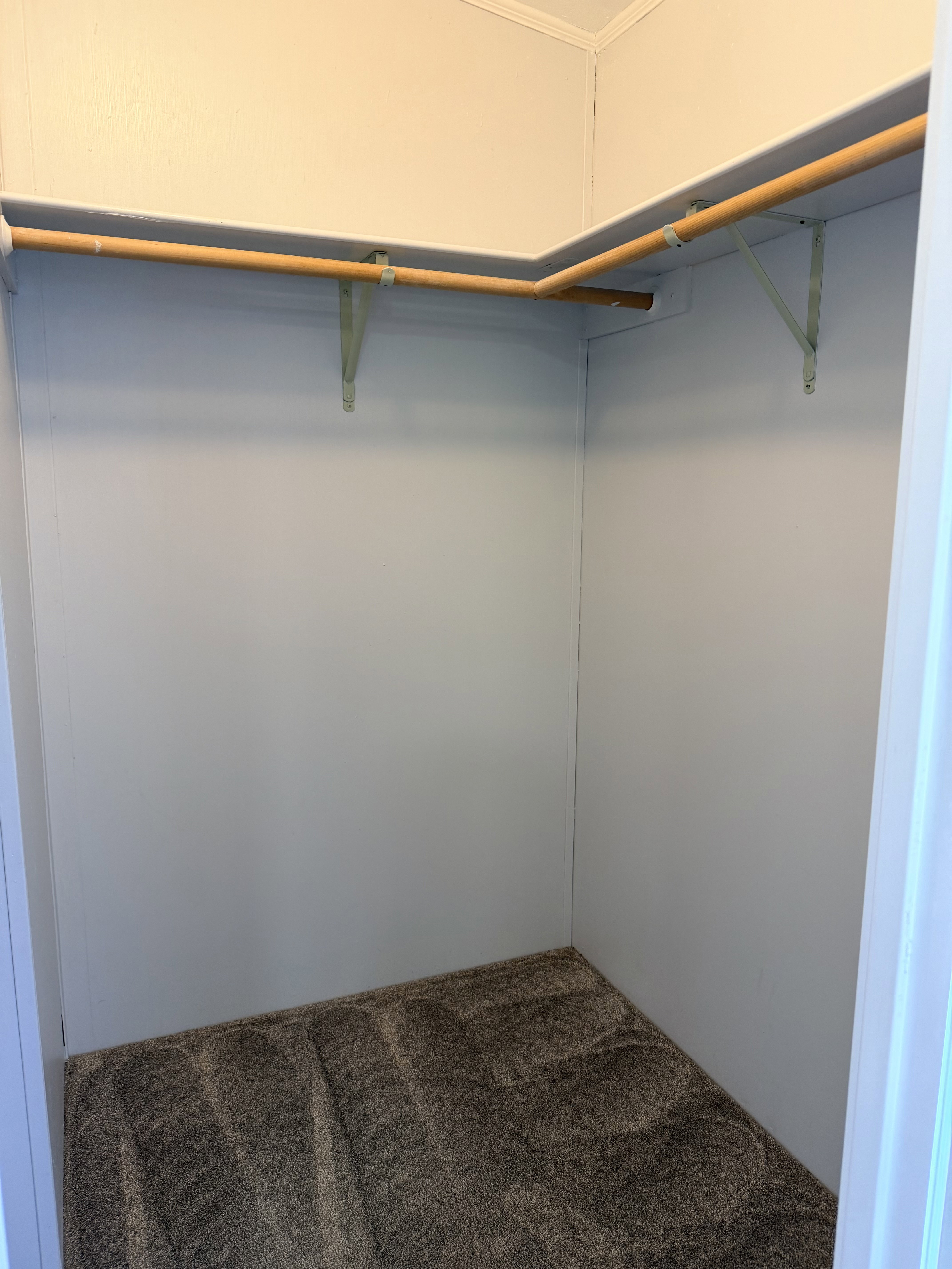 Walk in closet featuring carpet flooring