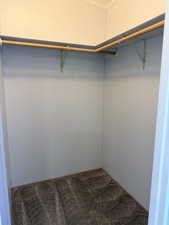 Walk in closet featuring carpet flooring