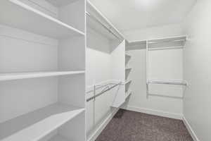 Primary Walk in closet featuring dark carpet