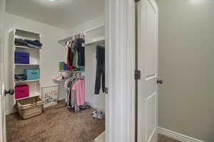 Walk in closet with light colored carpet