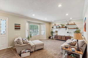 Living room featuring a textured ceiling, crown molding, recessed lighting, and carpet floors