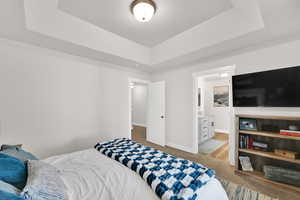 Bedroom featuring light colored carpet, ensuite bathroom, and a tray ceiling