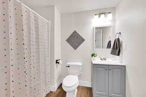 Full bathroom featuring vanity, wood finished floors, and a shower with curtain