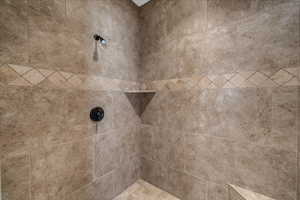 Bathroom view of tiled shower