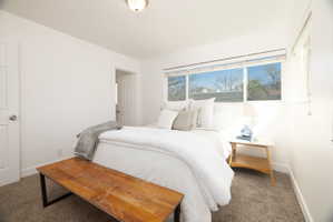 Bedroom featuring carpet flooring and baseboards