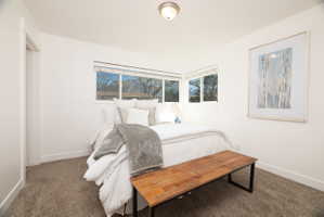 Bedroom with baseboards and carpet floors