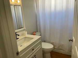 Full bathroom featuring vanity, wood tiled floors, and shower / bath combination with curtain