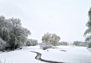 View of property's community