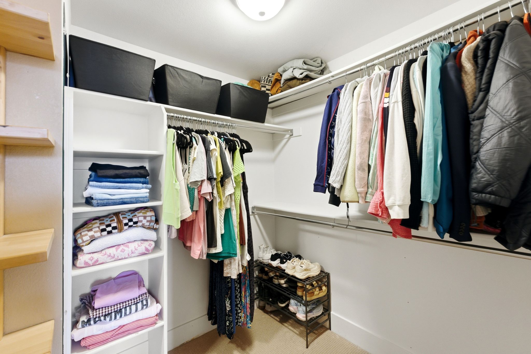 Walk in closet with light carpet