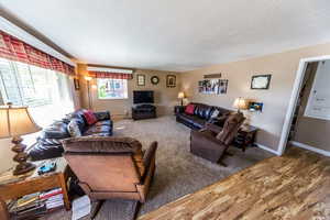 Living room with wood finished floors and a textured ceiling